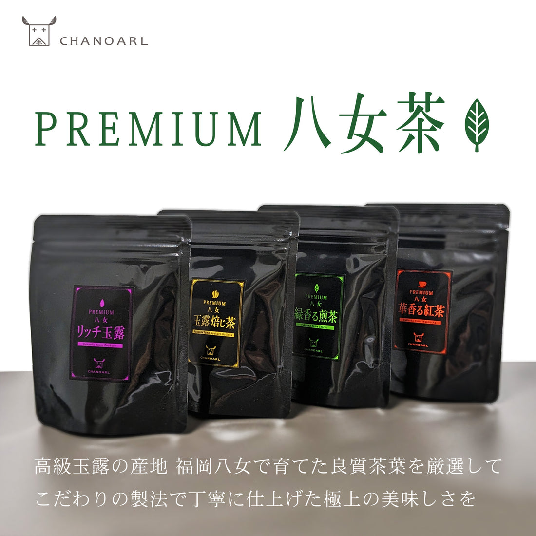 CHANOARL新商品 PREMIUM八女茶ティーバッグが入荷しました！