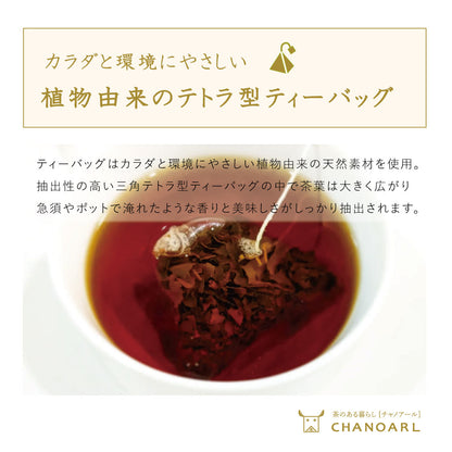 チャノアール 植物由来ティーバッグ 和紅茶